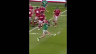 Dan Sheehan edit rugby ireland leinster [upl. by Tayib]