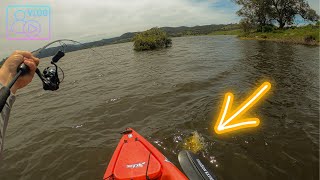 INSANE TAKE right at my KAYAK  YELLOWBELLY Fishing Windamere Vlog [upl. by Scheck]