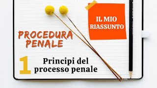 Procedura Penale  Capitolo 1 principi del processo penale [upl. by Trenna]