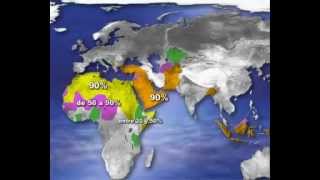 Porcentaje de musulmanes en el mundo [upl. by Nodrog729]