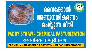 Mushroom world Chemical pasturization വൈക്കോൽ അണുനശീകരണം [upl. by Sylirama]