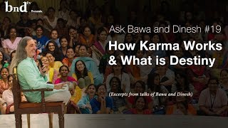 How Karma Works amp What is Destiny  Ask Bawa and Dinesh 19 [upl. by Margeaux]