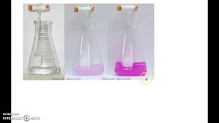 Antacid Titration Experimental Set Up [upl. by Loella]