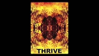 Blacktop Mojo  Thrive [upl. by Dahsra919]