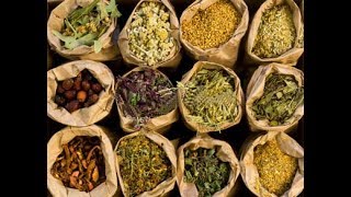 The Secrets Of Herbal Medicine  Best Documentary Of All Time [upl. by Thilda]