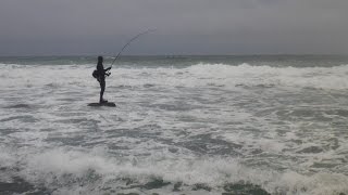 Stripers in the surf Noreaster September 2014 [upl. by Ruby144]