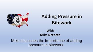 Mike Nezbeth Adding Pressure In Bitework [upl. by Schott902]