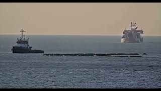 Onderhoud strand Tweede Maasvlakte gestart [upl. by Ekalb926]