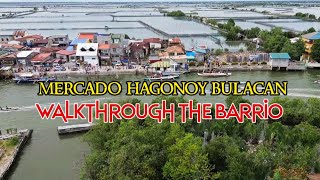 Mercado hagonoy walkthrough [upl. by Modie]