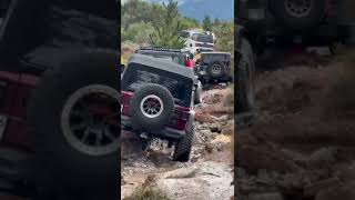 All the Ducks in a row Jeep keep on rolling up the trail jeep rolatribe offroading shorts [upl. by Ahsinhoj]