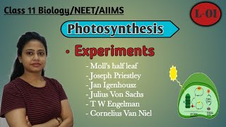 Ch13 Photosynthesis in higher plants  Part1  Experiments  Class 11 BiologyNEETAIIMS [upl. by Yllen]