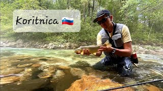 Fly Fishing in Slovenia I Koritnica  Marble trout from Koritnica [upl. by Drescher344]