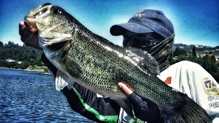 A combinação perfeita para os Big Bass [upl. by Mcnalley]