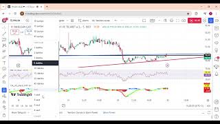 OYLUM PNLSN EUHOL LKMNH DETAYLI ANALİZ [upl. by Kcirdneked]