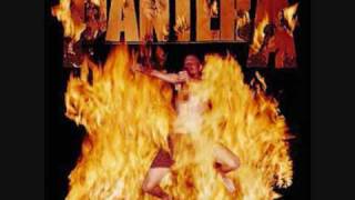 Pantera  Revolution Is My Name 8 Bit [upl. by Immas683]