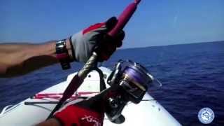 Shimano Stella 30000 sw amp Xzoga Taka si 600 5518 Tuna Tonno drifting  Majav [upl. by Buyers221]