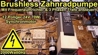 Brushless Zahnradpumpe mittels Frequenzumrichter ansteuern [upl. by Sirtemed]