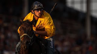 Night 1 of World Professional Chuckwagon Racing at the 87th Ponoka Stampede [upl. by Peih888]