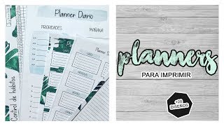 PLANNERS Y ORGANIZADORES GRATIS PARA IMPRIMIR  ORGANIZA TU TIEMPO  TRILCE ARANA [upl. by Farand214]