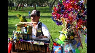 MIX FOLCLORE TRADICIONAL de Chile música tradicional de chile [upl. by Ikik]