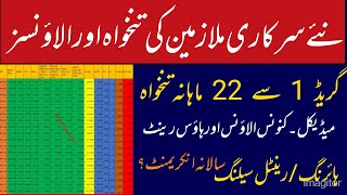 Pay and Allowances Salary New Appointed govt Employees 2023 24 Pakistan  rental celling details [upl. by Eiffub]