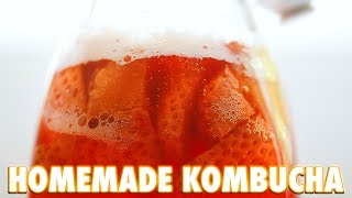 How To Make Kombucha At Home [upl. by Zetneuq148]