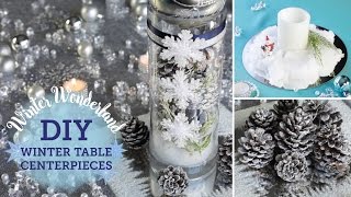 DIY Winter Wonderland Table Centerpieces  fake snow  BalsaCirclecom [upl. by Palocz]