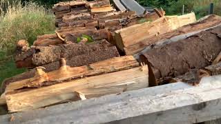 Softwood all stacked Woo Hoo firewood softwood hardwood [upl. by Sudnak]