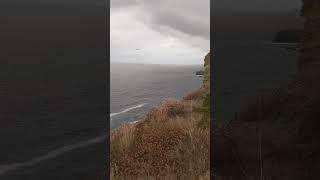 View from Carvannel Downs near Portreath Cornwall [upl. by Almira]