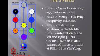 Tree of Life Basics [upl. by Gilles]