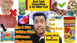 Best Food Flowerhorn Head growth  Tubifex worms vs Bloodworms  How to feed tubifex worms to fish [upl. by Oiligriv]