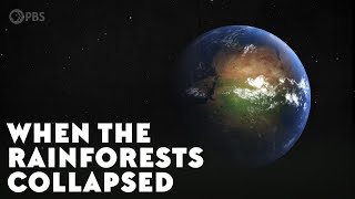 When the Rainforests Collapsed [upl. by Aek]