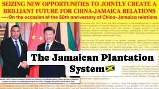 YARDCHATReal Chat Jamaica Plantation SystemChinese InvestorMonarchy System [upl. by Annemarie]