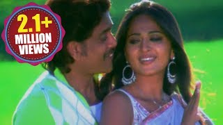 Don Songs  Neekai Nenu  Nagarjuna Anushka Ragava Larencce [upl. by Zerla]