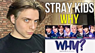 Stray Kids  ‘WHY’ OST Месть В конце желаний  РЕАКЦИЯ НА КПОП [upl. by Drabeck]