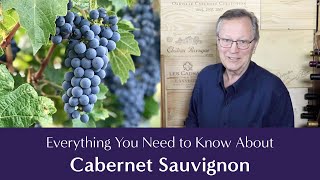 Cabernet Sauvignon Everything You Need to Know  Including Suggested Food Pairings [upl. by Yhotmit]