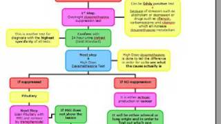 USMLE ALGORITHMS Cushing Syndrome [upl. by Leblanc216]