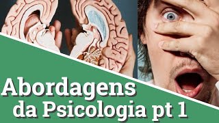 Abordagens da Psicologia parte 1 [upl. by Arik]