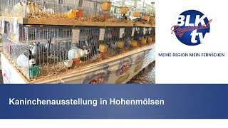 Kaninchenausstellung in Hohenmölsen [upl. by Carol-Jean]