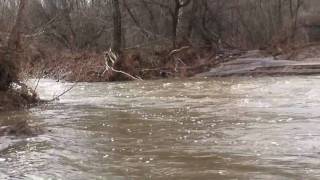 Streamflow Measurement Pinto Creek AZ Jan 2010 [upl. by Damalas]