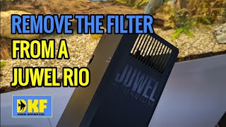 JUWEL BIOFLOW ONE FILTER SYSTEM UNBOXING😃 [upl. by Namaj67]