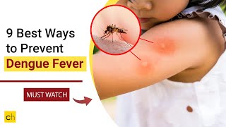 9 Best Ways to Prevent Dengue Fever  Credihealth [upl. by Abebi]