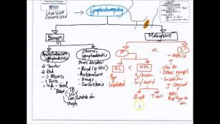 Mindmap Approach to Lymphadenopathy [upl. by Akenet]