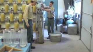 Minnesota DNR Fisheries Management  Warmwater Hatchery [upl. by Dnarb]