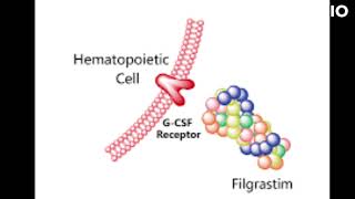 filgrastim uses and mode of action [upl. by Anwad]