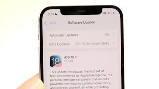 The iPhone 12 Is INSANE On iOS 181 [upl. by Lekzehcey]