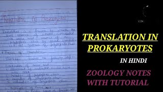 TRANSLATION IN PROKARYOTES IN HINDI bsczoology zoologynotes biology translation prokaryotes [upl. by Garrott433]