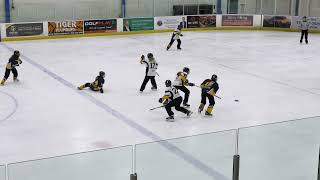 U16A Dorchester vs Metcalfe  2024 Ringette Provincial Championships [upl. by Annawoj732]