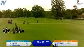 Cranleigh 1st XI vs Brighton ACA 1st XI [upl. by Volnay]