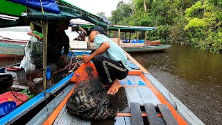 Tak sengaja ketemu sultan dari pontianak borong semua udang hasil mancing kami di sungai [upl. by Lyssa]